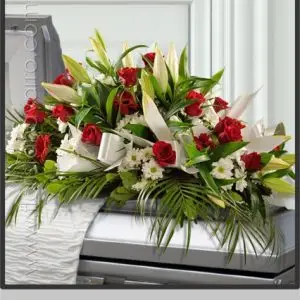 Coixí blanc i vermell